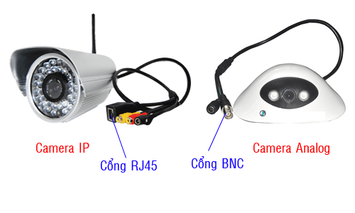Cách nhận biết giữa camera IP và camera Analog
