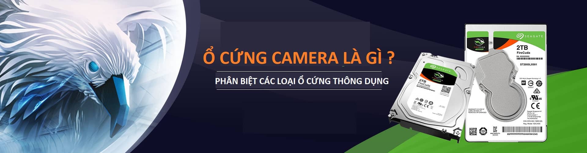 Ổ cứng camera là gì