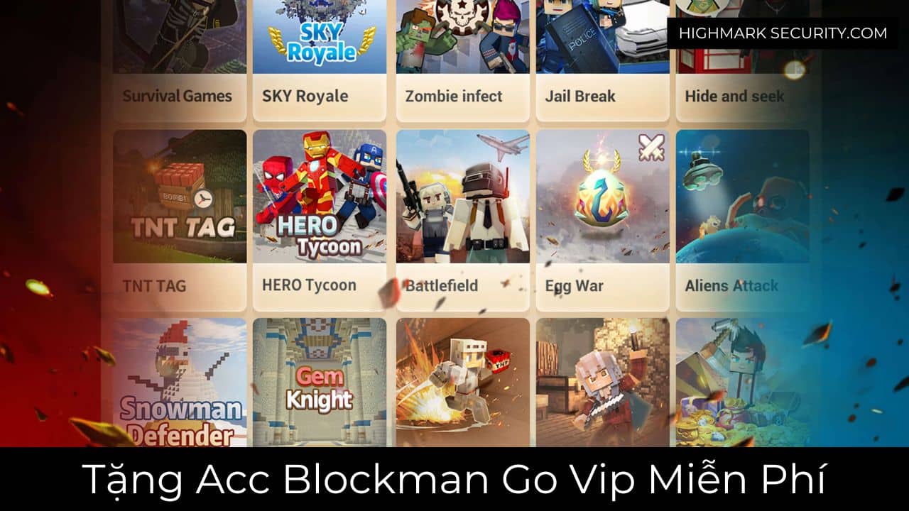 Acc Blockman Go Vip