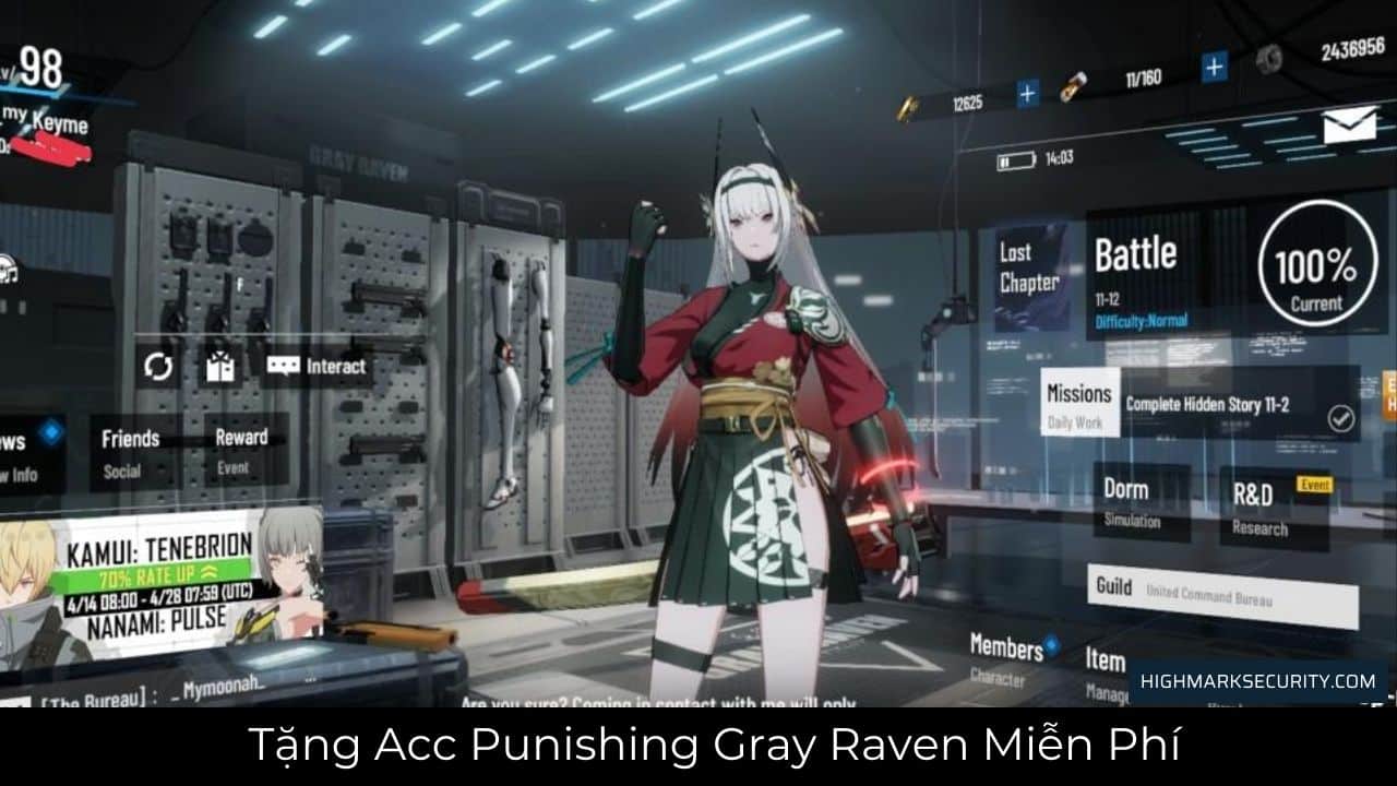 Acc Punishing Gray Raven