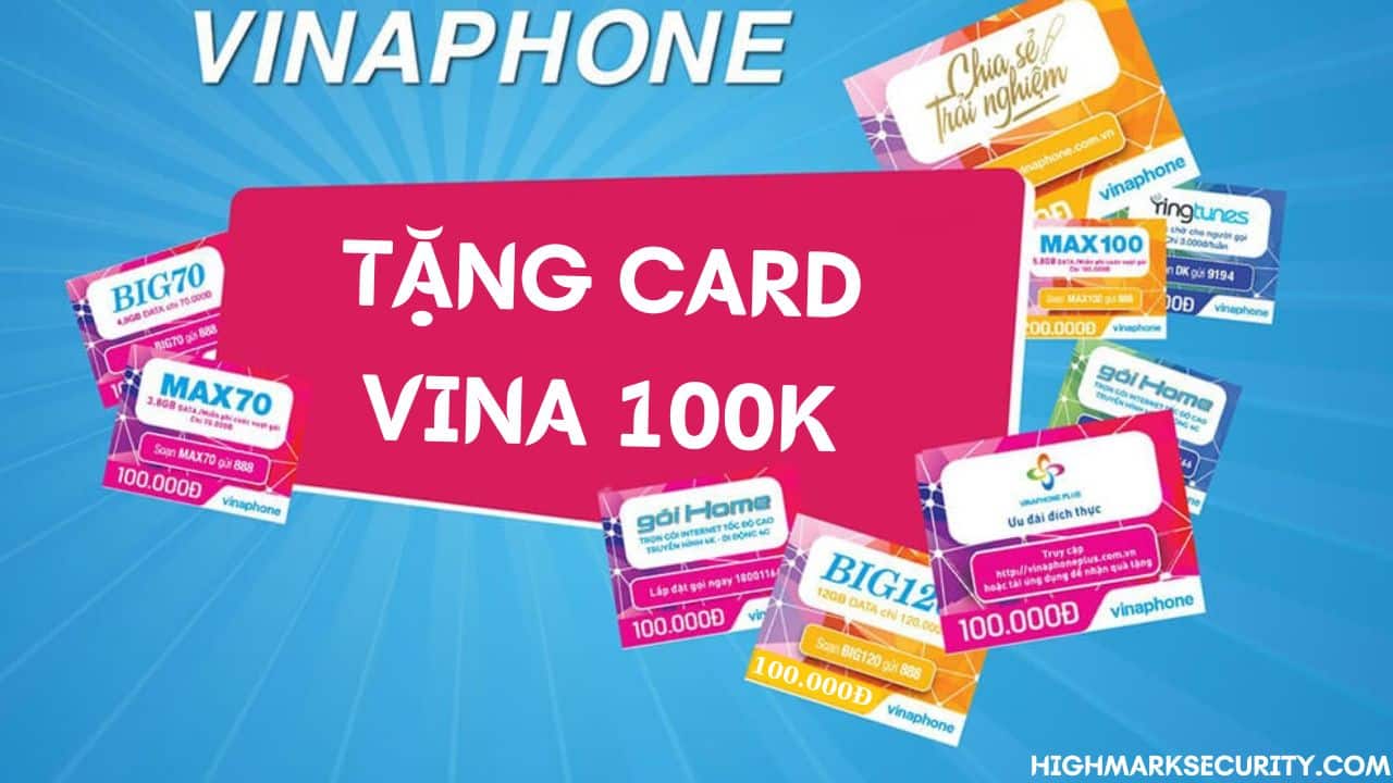 Card Vina 100K